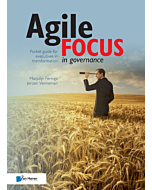 agile focus in governance