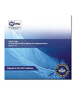 ITIL Lite A Road Map to Full or Partial ITIL Implementation ed