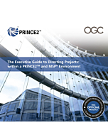 The Executive Guide to Directing Projects within a PRINCE and MSP Environment