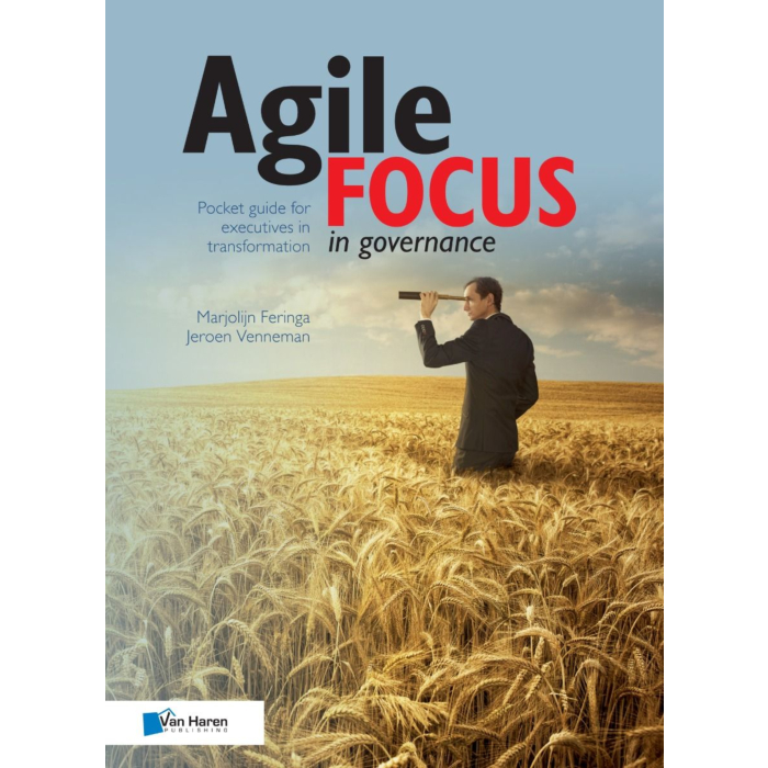 Agile focus in governance