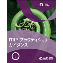 ITIL® Practitioner Guidance (Japanese)