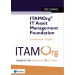 ITAMOrg® IT Asset Management Foundation Courseware eBook(s)
